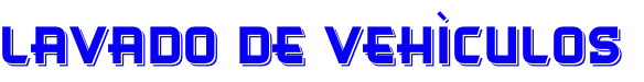 LAVADO DE VEHÌCULOS